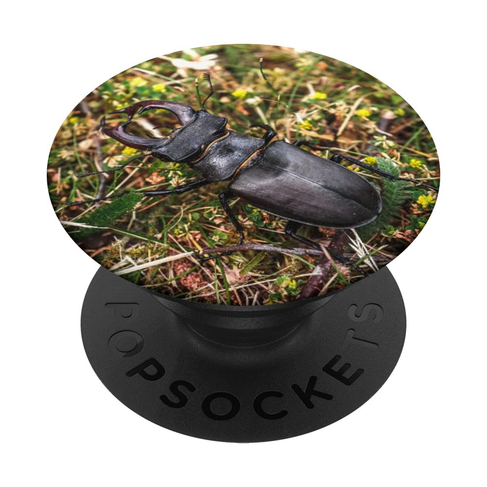 Beetle Bug PopSockets Swappable PopGrip