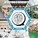 dxrise Digital Hygrometer, Humidity Gauge, Indoor Thermometer, Temperature and Room Humidity Monitor Moisture Meter with Accurate Monitor Clear Reading, Min/Max Records, C/F switch