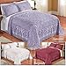 Collections Etc Elegant Victoria Plush Chenille Bedspread with Fringe Border and Ring Design, Burgundy, Twin
