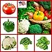 Heirloom Vegetable Seeds- Non GMO -Variety of Vegetable Seeds-Heirloom Garden Seeds- Packed in Mylar Zip Bag-Assorted Vegetable Seeds-Vegetable Seeds Variety Pack