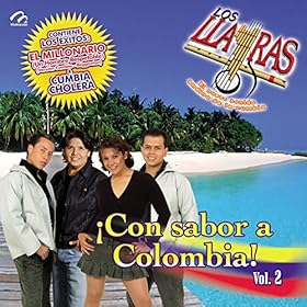 Descargar Mp3 Hoy Voy A Beber - Amber Ar