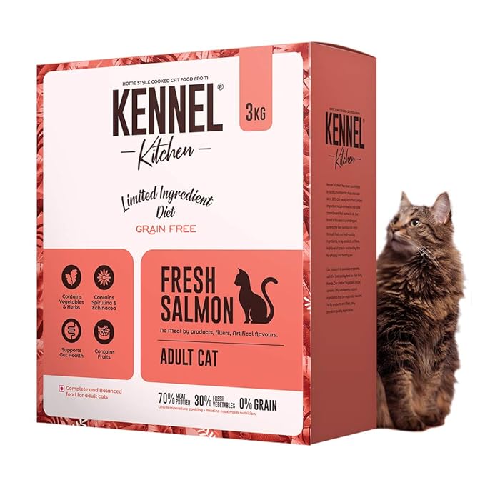 fresh salmon for cats