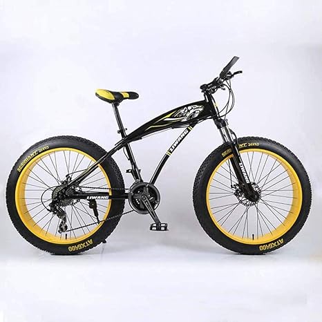 bike with big back wheel