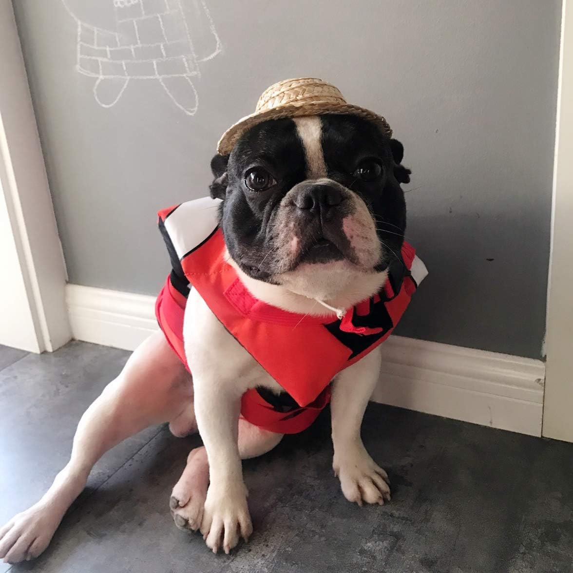 Hifrenchies Dog Life Jacket Clown Fish Vest Dog Safety Swimsuit Floatation Life Vest for French Bulldog/Pug(M,Clown fish) - Image 4