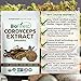 Biofinest Cordyceps Sinensis Mushroom Extract Powder - 100% Freeze-Dried Superfood - USDA Organic Vegan Raw Non-GMO - Boost Stamina Immunity - for Smoothie Beverage Blend (4 oz Resealable Bag)