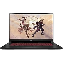 Amazon.com: MSI Katana 17.3