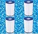 Summer Escapes Type A or C Filter Cartridge 4 Pack