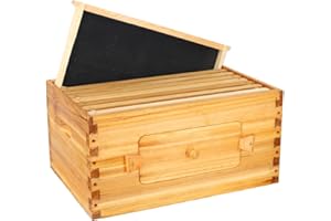 BeeCastle 8 Frame Deep Bee Hive Box, Langstroth Beehive Box Dipped in 100% Natural Beeswax, with Beehive Frames and Beeswaxed Foundations (Unassembled)
