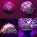 MOKOQI Star Night Light Projector for Boys with Timer - Kids Toys for 3-5 Year Old Boys - Birthday Gifts for 2-10 Year Old Toddler Boy Toys, Starry Sky Projection Lamp for Kids Room Wall Decor