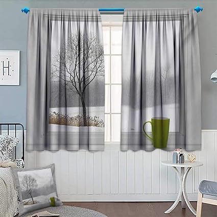 Amazon Com Chaneyhouse Winter Room Darkening Curtains Green