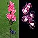 Orchid Solar Flower, LED Solar Flower, LED Light, Outdoor Light,LED (Pink)