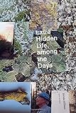 Extra Hidden Life, among the Days (Wesleyan Poetry Series) by Brenda Hillman