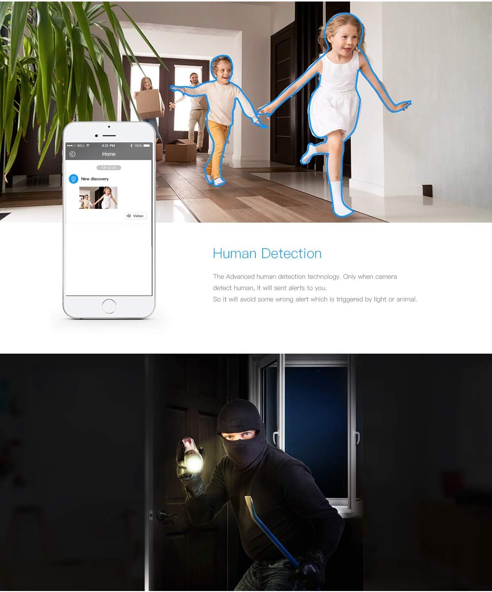 clever dog cloud storage