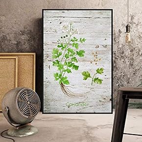 Floating Framed Canvas Wall Art for Living Room, Bedroom Plant Canvas Prints for Home Decoration Ready to Hang - 16x24 inches
