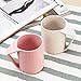 Aestar Multicolor Biodegradable Unbreakable Wheat Straw Water Cup Tumblers 13.5oz Set of 2 for Coffee, Tea, Water, Milk, Juice … (XL)