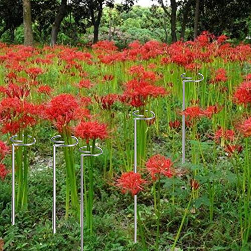 30 Inch Plant Stakes for Flowers 5 Pack (DIY), Stainless Steel Garden