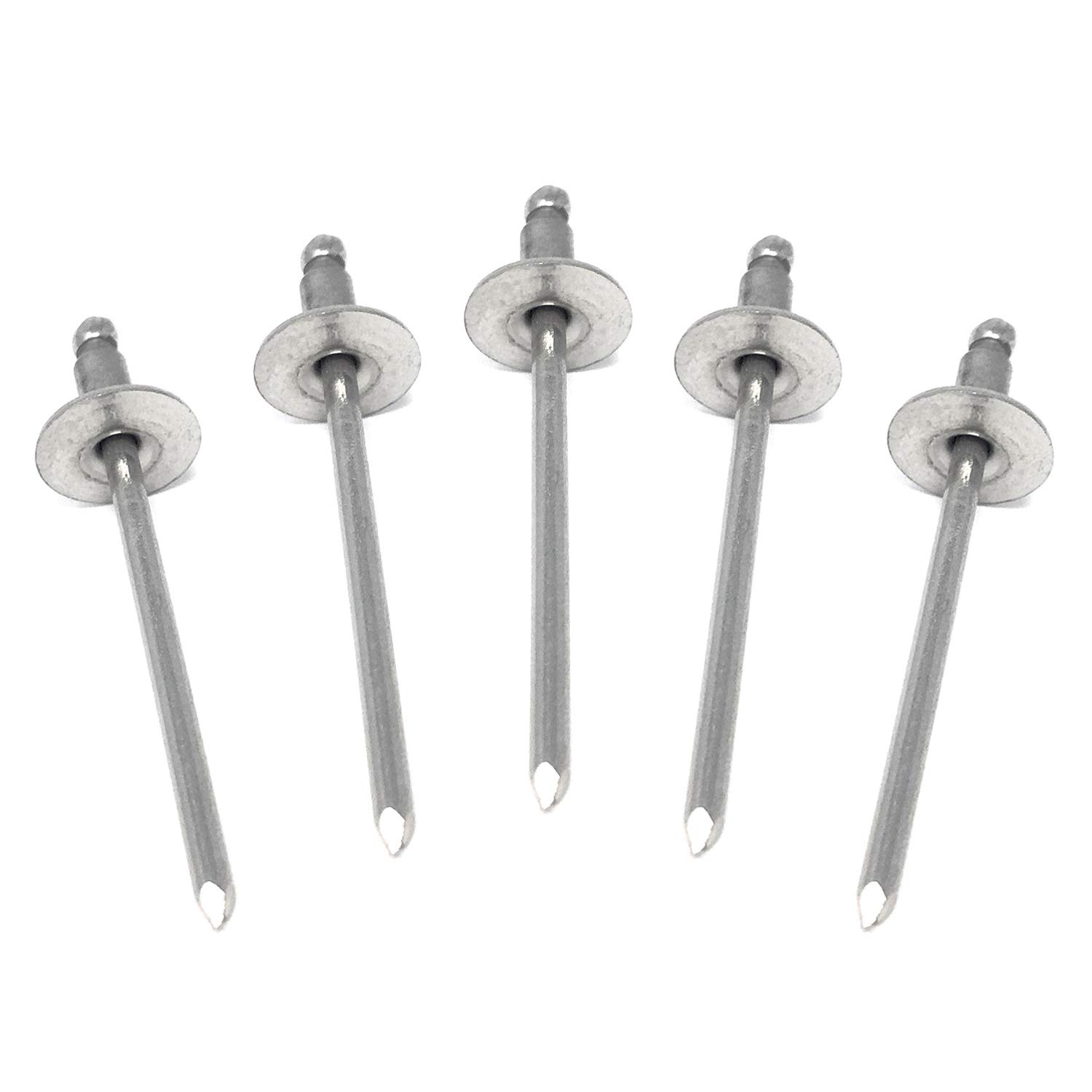 Metal Magery 100 Large Flange Stainless Steel Open End Pop Rivets 3/16" x 3/4" (0.626-0.750 Inch Grip) QTY: 100
