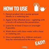 Jarder Indian Sandstone Cleaner 5L – Removes Dirt Grime Algae Mould view 9