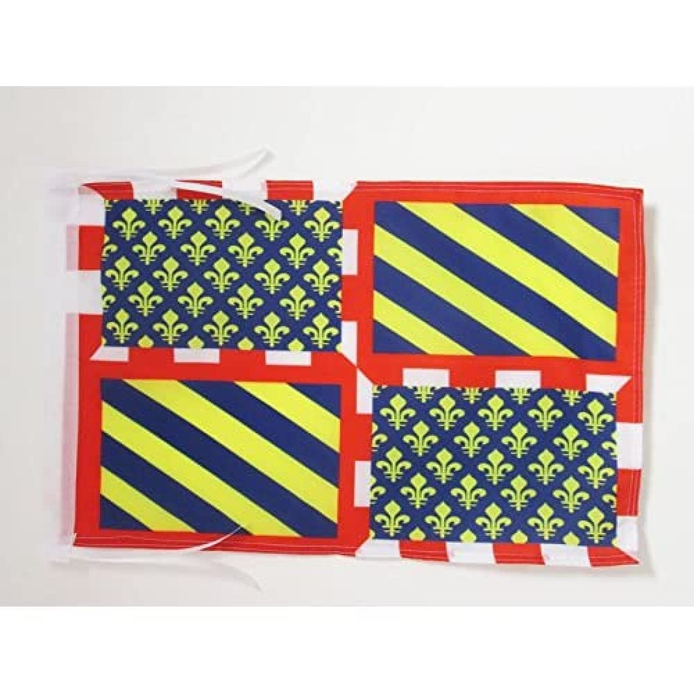 AZ FLAG - Province of Burgundy Flag - 18'' x 12'' - 100% Polyester Province de Bourgogne Small Banner with Two Cords - Fade Resistant - Vivid Colors - 18x12 in - 45x30 Cm — image 1