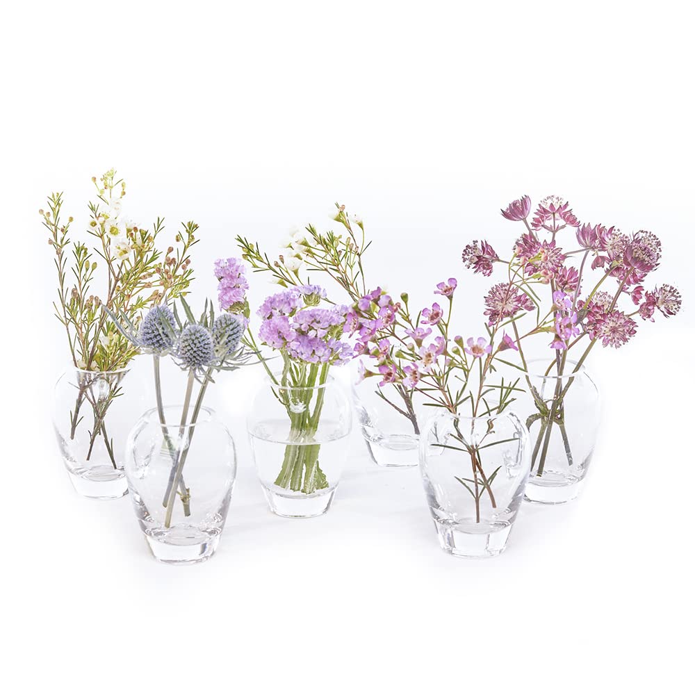 Chive ‘George’ Round Flower Vase — Cute, Beautiful Glass Vase for Flowers & House Plants — Style 1