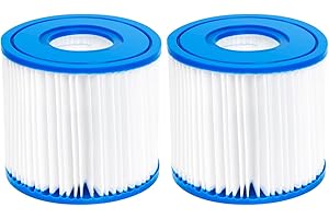 WuYan 2pcs Replacement Swimming Pool Filter for Type D, for Summer Waves P57100102 SFS-350, RP-350, RP-400, RP-600, SFS-600