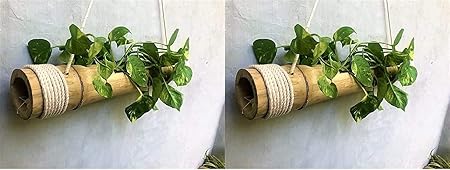 Ecopal Bamboo Hanging Planter With Adjustable Rope, Average length is from 40cm - 55cm. Diameter is 8cm - 12cm, 2 Pieces