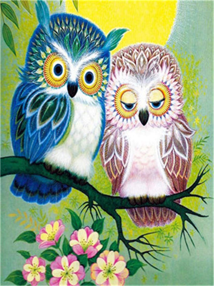 Paint by Numbers Kit DIY Oil Painting Kit for Kids and Adults - Two Owls 16"x20" (No Frameless)