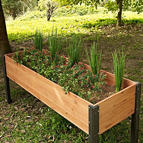 Best 29 Inch Raised Garden Bed