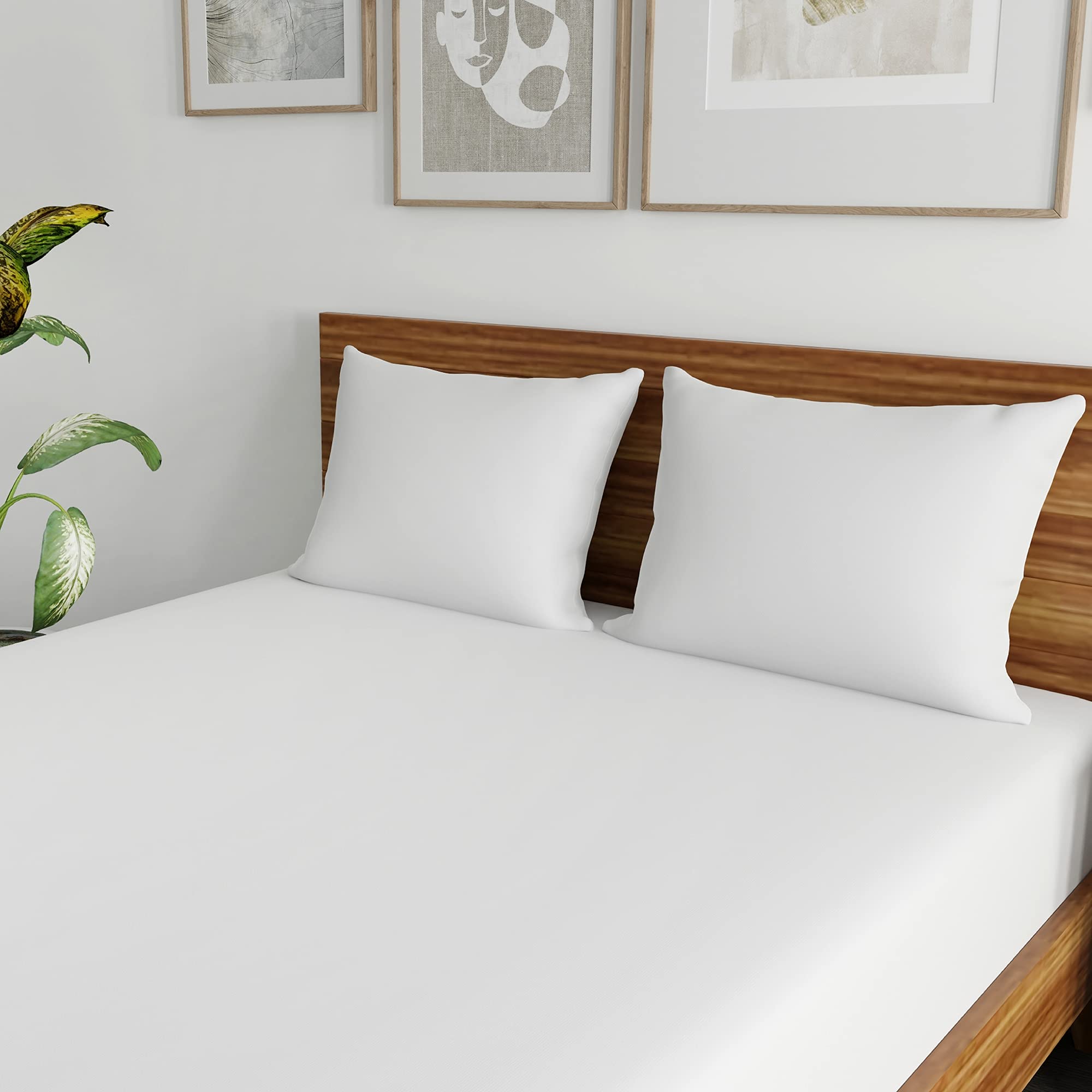 SensorPEDIC Clean Standard Bed UltraFresh Fiber Pillow 2 Pack, White