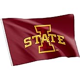 Desert Cactus Iowa State University ISU Flag - 3 x 5 Feet Cyclones Banner, Indoor/Outdoor Durable Fabric, 100% Polyester Design (Style 1)
