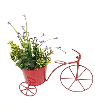 Generic, Cycle Rickshaw Plant Stand Small Colour Red Size 10 x 4 x 6.6
