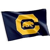 Desert Cactus University of California Berkeley UCB Flag - 3 x 5 Feet Golden Bears Banner, Indoor/Outdoor Durable Fabric, 100% Polyester Design (Style 6)