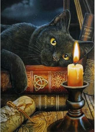 Diamond Painting Complet Wowdecor Chat Noir Livre Bougie Lumiere Animaux Diamant Painting Diy 5d Mosaique Peinture Numero Point De Croix Amazon Fr Cuisine Maison