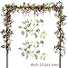 Felice Arts 2 Pcs Artificial Flowers 6.6ft/piece Silk Wisteria Ivy Vine Green Leaf Hanging Vine Garland for Wedding Party Home Garden Wall Decoration (Rose Red)