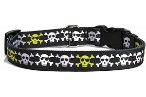 Yellow Dog Design Boy Skulls Dog Collar 1" Wide and Fits Neck 18 to 28", Large