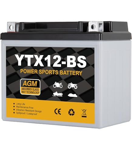 Amazon.com: YUASA YTX12-BS BATTERY : Automotive