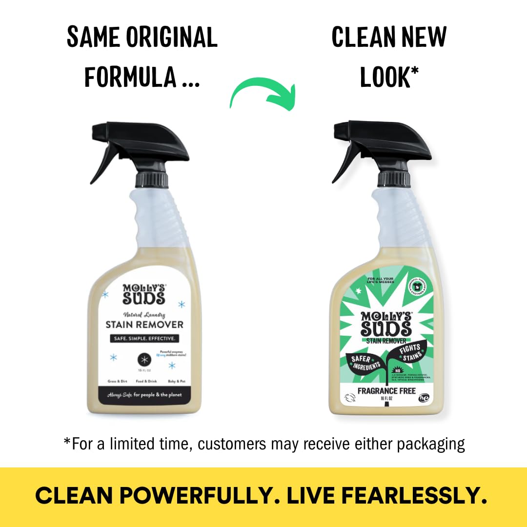 Molly's Suds Stain Remover Spray | Gentle Yet Powerful, Great for Baby & Pet Stains | Clean, Simple Ingredients (Fragrance Free) (16 Fl Oz (Pack of 2))