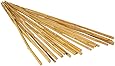Hydrofarm HGBB4 4' Natural Bamboo Stake, pack of 25
