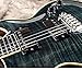 T's Guitars Arc Standard Solid Body 24f Hand Selected 5a-flame (Black Slate) W/buzz Feiten Tuning System