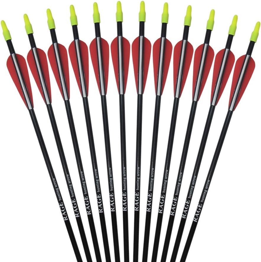 PA 25" 31" Fiberglass Arrows Children Arrows Archery Target Shooting Hunting Practice Arrows for Recurve Bow : Sports & Outdoors