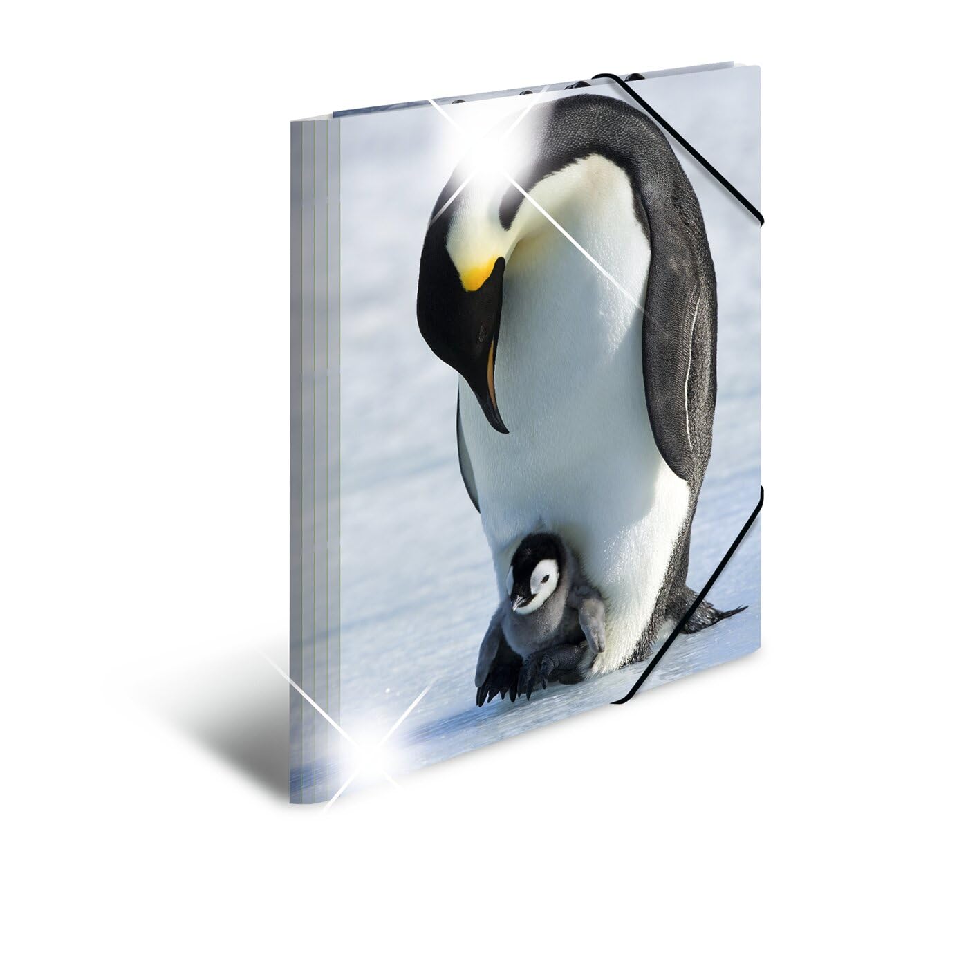 HERMA Elastic Folder Animals with Penguins Motif, A3, Glossy Plastic, with Inner Print, 1 Span Folder