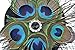 Fascinator Peacock Feather Veil Pillbox Hat Wedding Hair Clip Headwear for Women