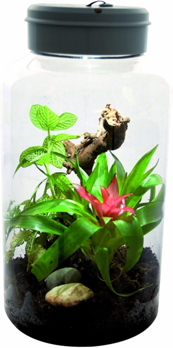 Lucky Reptile IT-5 InsectTarrium, 5 Litre, transparent - Image 4