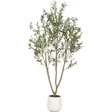bacon plant Eutaxia myrtifolia dwarf form