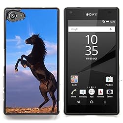 FJCases Black Horse Stallion Animal Slim & Thin