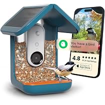 Amazon.com : Bird Buddy Solar Smart Bird Feeder with Camera - AI ...