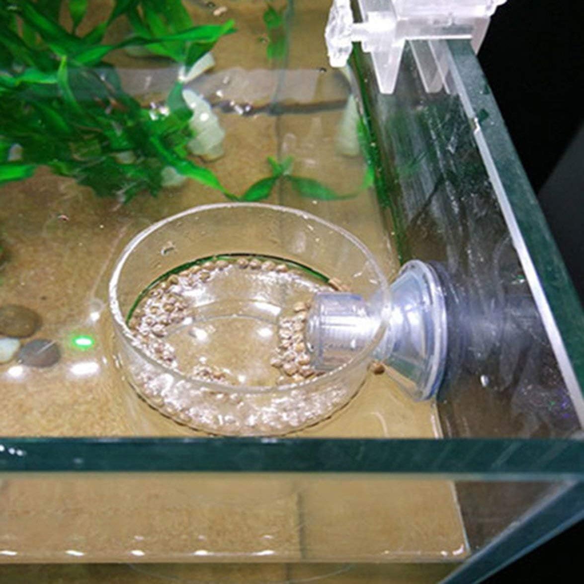 корм для рыбок название. кормушка для аквариумных рыб aqua one worm feeder cone. креветки в аквариуме. кормушка для рыб в аквариуме. аквариумные корма своими руками.