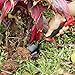 Garden Shovel - Heavy Duty Gardening Hand Trowe