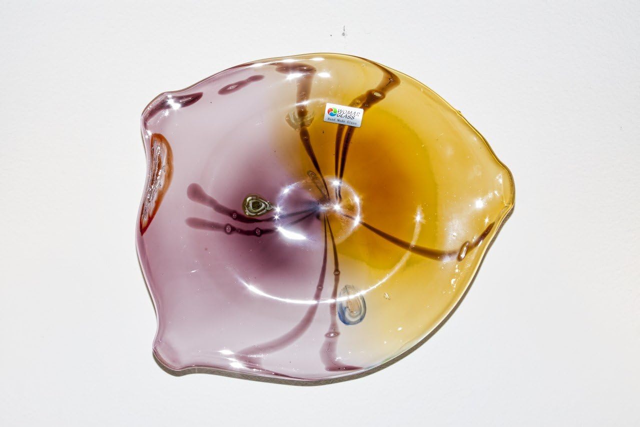 Glass Wall Plate with Mounting Hardware Home & Kitchen