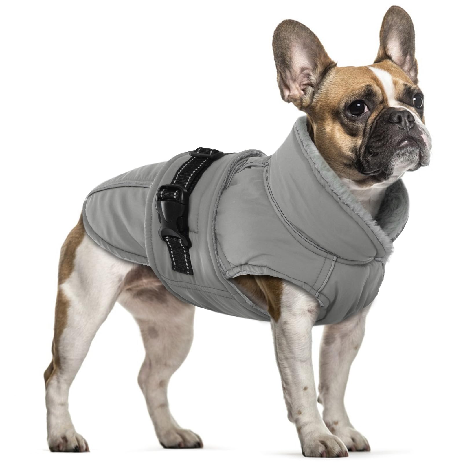 Dog Coat Waterproof Small, Winter Jacket Warm Fleece Jumper with Fleece Collar Sweater Winter Clothes for Small Dogs Jack Russells Coats(Gray, S)
